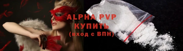 СК Елабуга