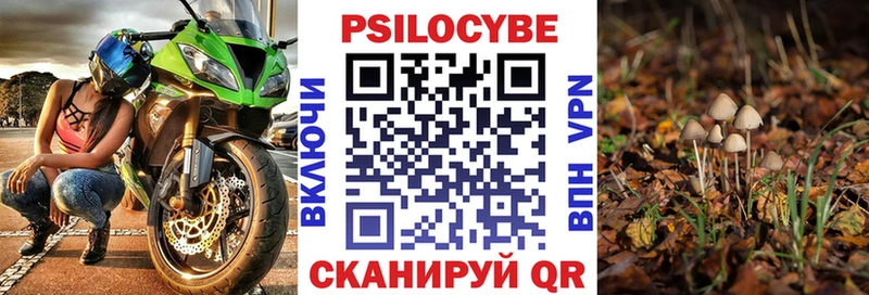 Псилоцибиновые грибы мухоморы  купить наркоту  Новомичуринск 