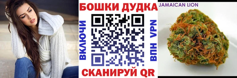 наркотики  Новомичуринск  mega онион  Конопля конопля 